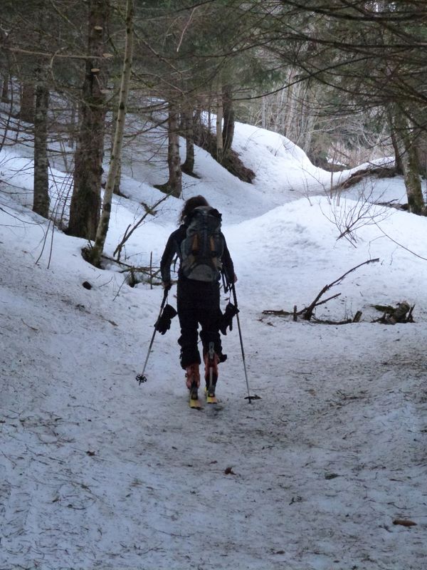 #1 Bucolique montée en forêt : De la neige jusqu Bucolique montée en forêt : De la neige jusqu'à quand?