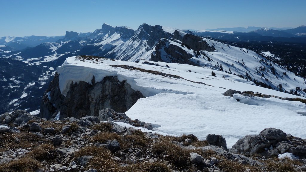 #7 Plein sud : Demain je vais au bout... Plein sud : Demain je vais au bout...