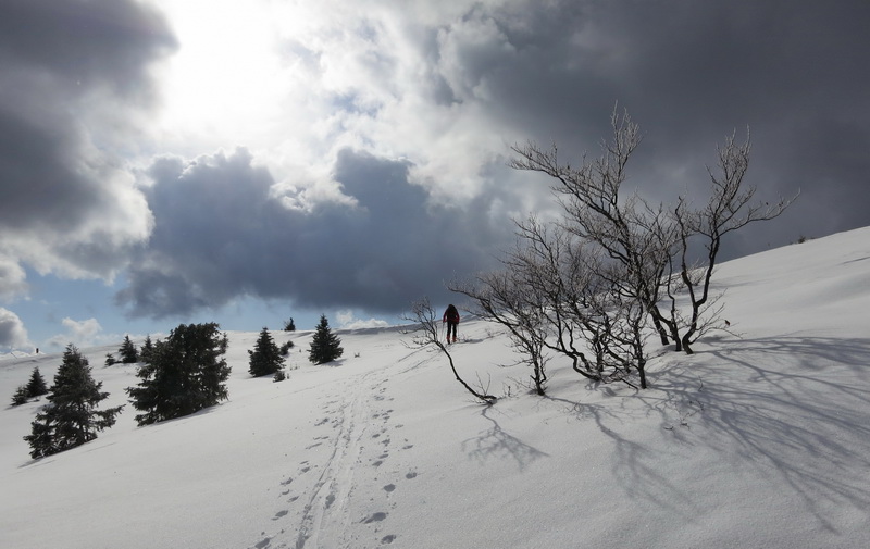 #2 Au sortir de la forêt Au sortir de la forêt