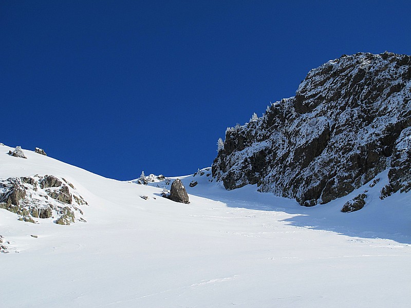 #1 grand eulier : avant grand eulier : avant