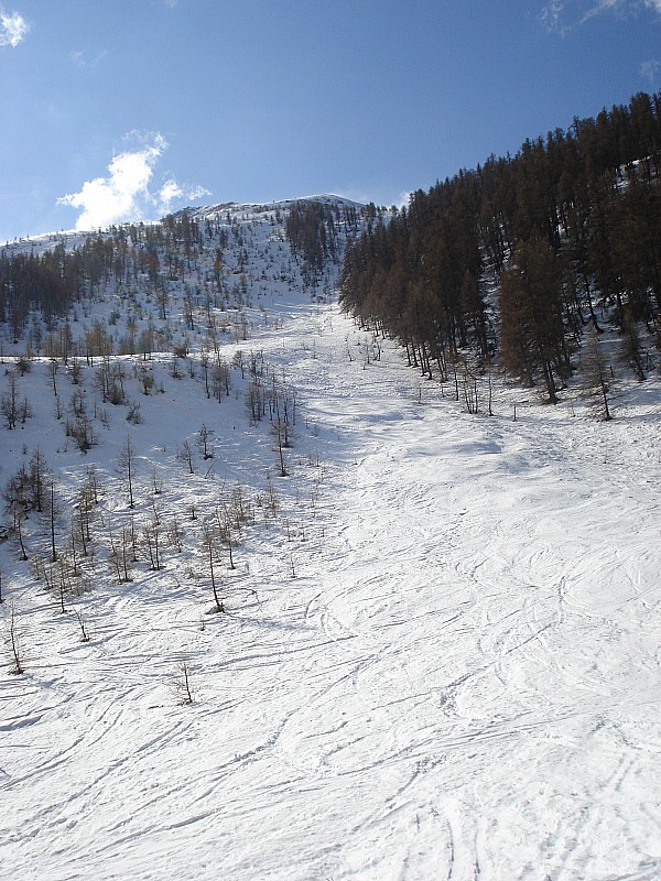 #4 Descente : du sommet descente combe nord et retour sur les traces des pistards! Descente : du sommet descente combe nord et retour sur les traces des pistards!