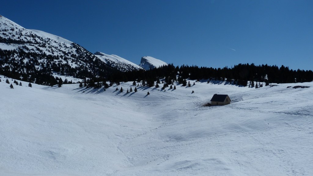 #5 Cabane : Jasse du Play Cabane : Jasse du Play