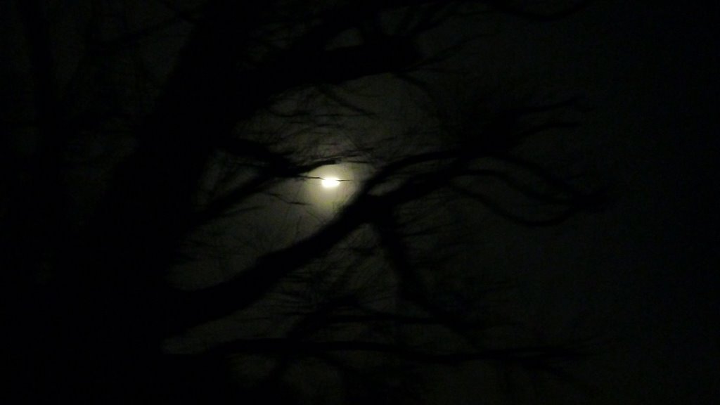 #2 Lune blafarde Lune blafarde
