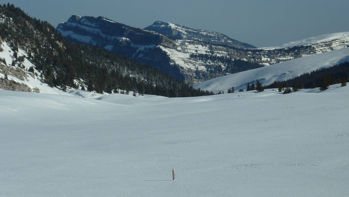 #6 Vallon de Marcieu : vierge Vallon de Marcieu : vierge