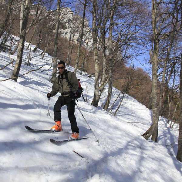 #8 Dans les bois : pfff ! Dans les bois : pfff !