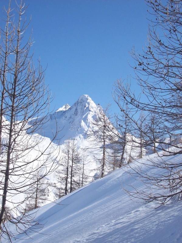 #5 Bric Bouchet : a repris un air hivernal. Bric Bouchet : a repris un air hivernal.