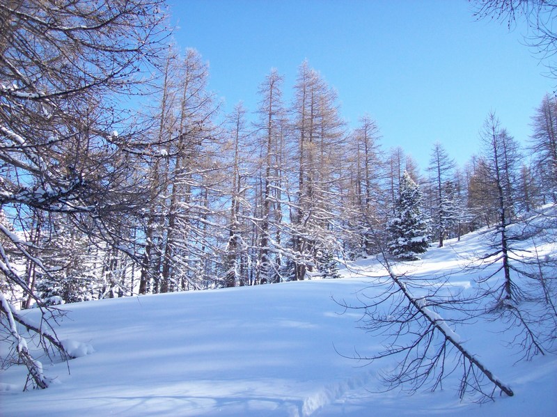 #3 Le soleil caresse la neige Le soleil caresse la neige