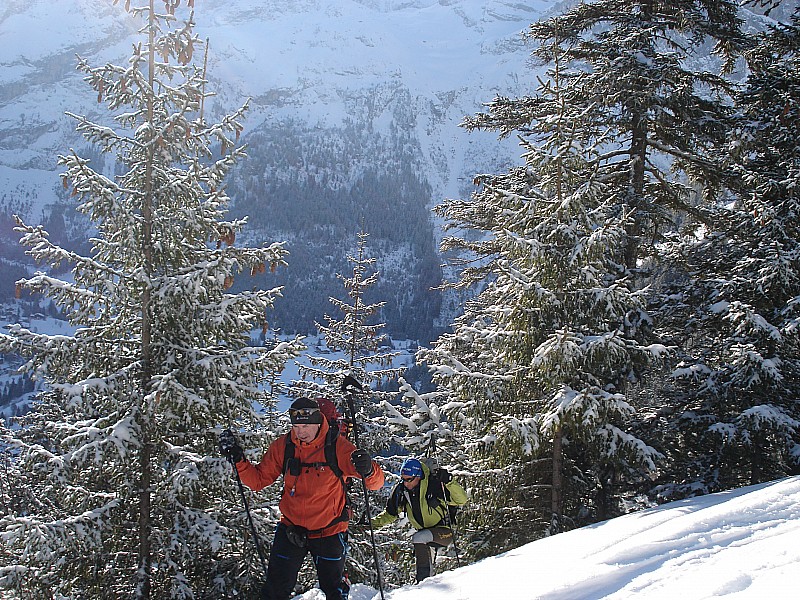 #8 breche portetta : Montée dans les sapins breche portetta : Montée dans les sapins