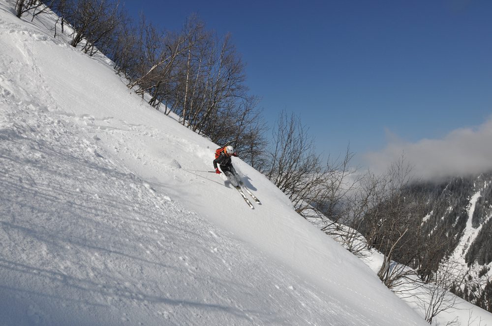 #29 Pourdreuse légère : jusqu Pourdreuse légère : jusqu'au ruisseau