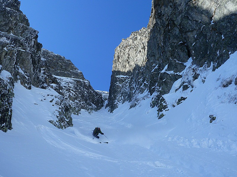 #24 Mouchillon oriental : Clément le rideur :) Mouchillon oriental : Clément le rideur :)