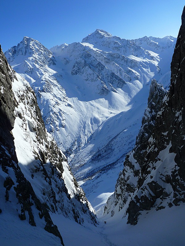 #2 Mouchillon oriental : Partie inférieure du couloir. Mouchillon oriental : Partie inférieure du couloir.