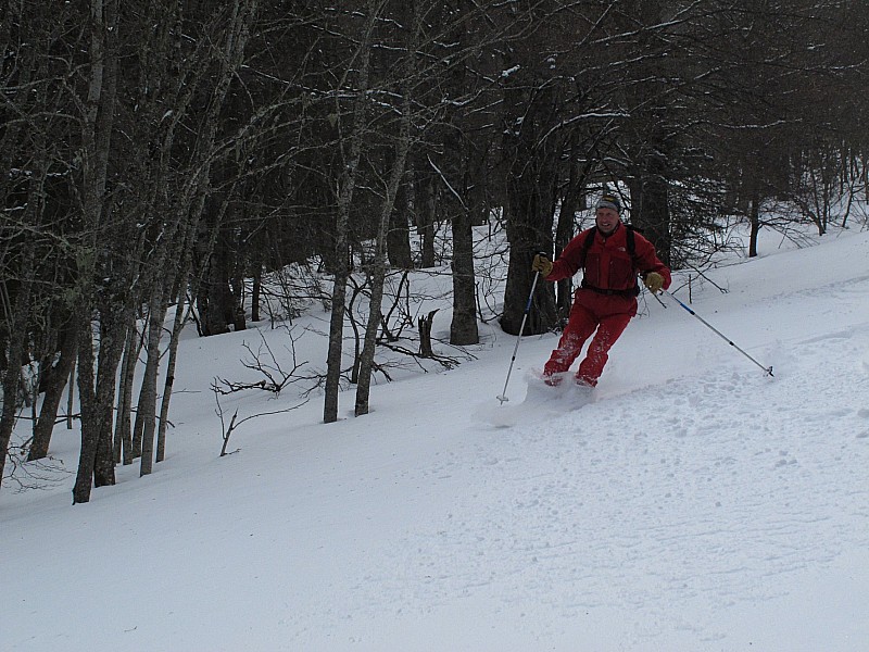 #5 bec charvet : laisses filer .... bec charvet : laisses filer ....