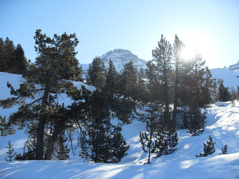 #3 col des Portes : Roche Brune. col des Portes : Roche Brune.