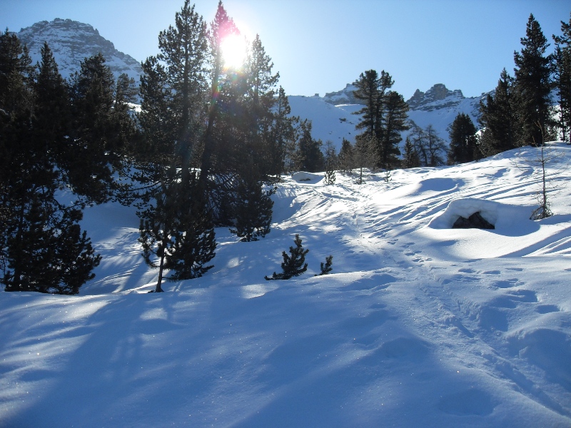 #2 col des Portes : Sortie du bois des Oules. col des Portes : Sortie du bois des Oules.
