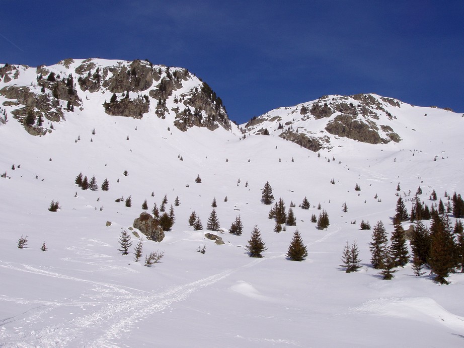 #1 sortie de la forêt : Beaucoup de neige sortie de la forêt : Beaucoup de neige