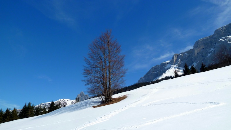 #2 Cornafion : Dédicace à Kikou et Francis ... 3 ans déjà Cornafion : Dédicace à Kikou et Francis ... 3 ans déjà