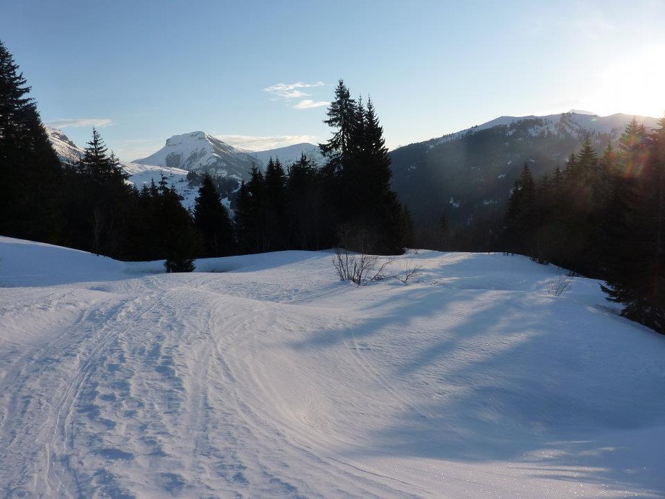 #1 coufa 10 mars : lever de soleil sur foiroux coufa 10 mars : lever de soleil sur foiroux