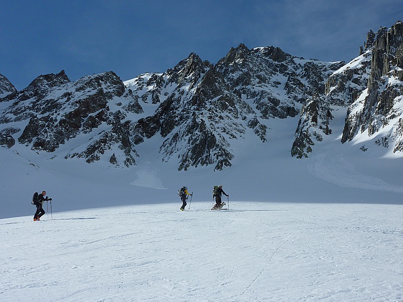 #13 Philou1 : à la trace, bas du couloir Philou1 : à la trace, bas du couloir