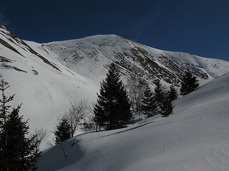 #5 Mont d Mont d'Armenaz 2158m : Sommet du Mont d'Armenaz pas mal purgée sur pratiquement tout la face sud ouest! La crête entre le col et le sommet est bien chargée! Du coup j'ai est rennoncé, nous sommes montée par la zone plus au sud un peu boisée et rejoin