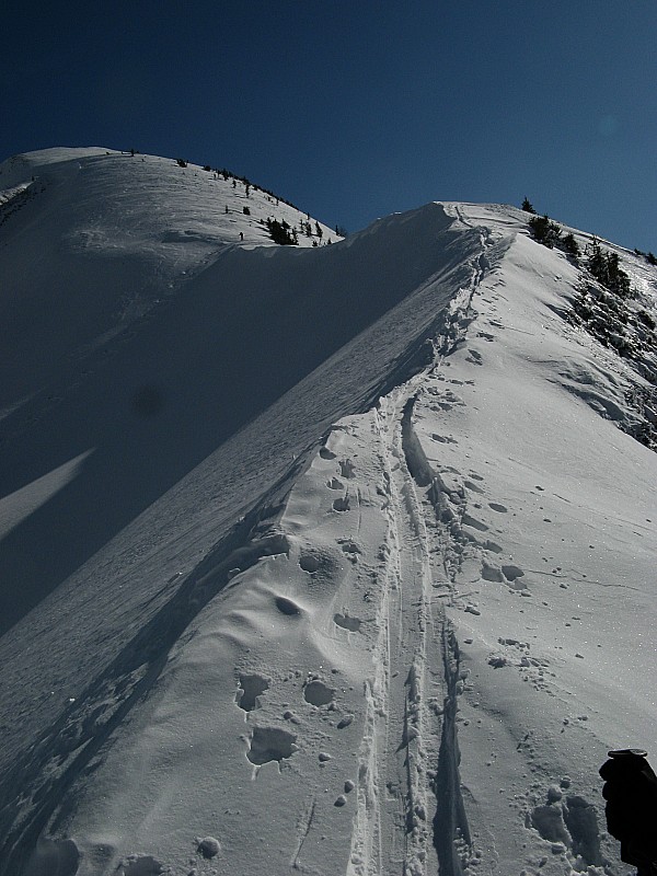 #15 Grandiose cette arête! : Jolie arête assez grandiose et ambiance très aérien sous le sommet de la Pointe des Arces vers 1900m! Grandiose cette arête! : Jolie arête assez grandiose et ambiance très aérien sous le sommet de la Pointe des Arces vers 1900m!