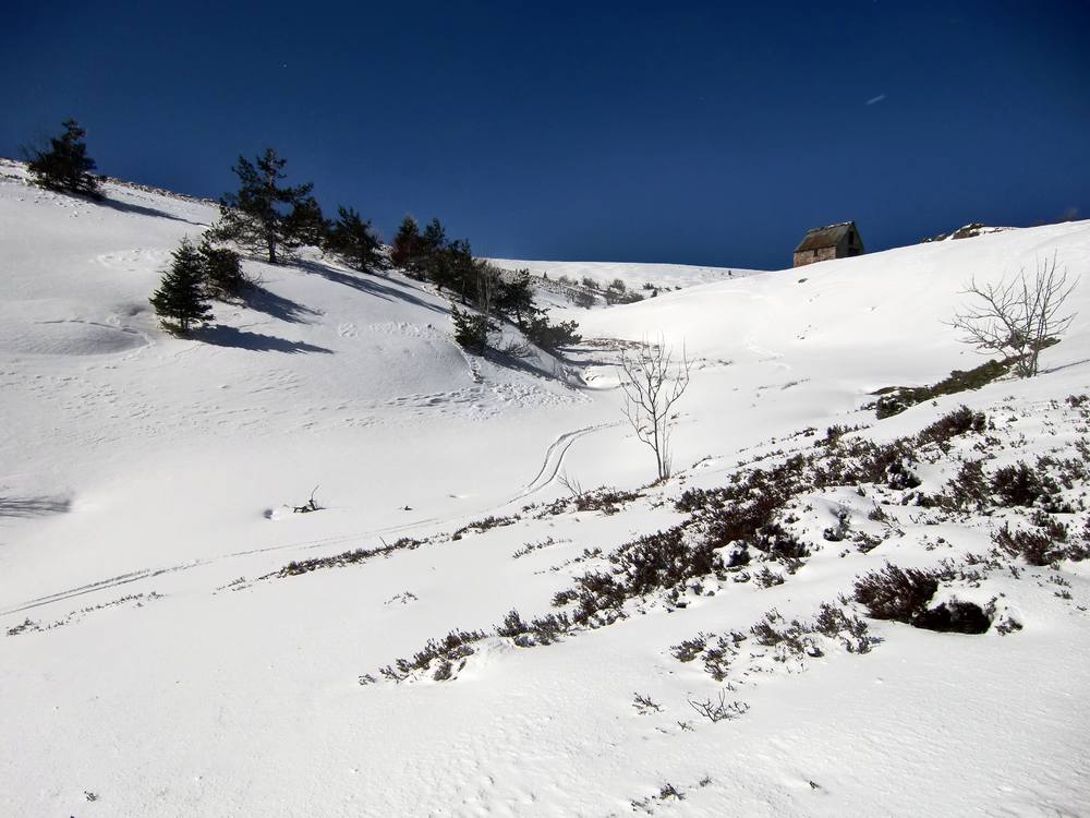 belle descente. : Goulet en dessous des jasseries du fossat, versant N/E de Monthiallier.enneigement déficitaire.