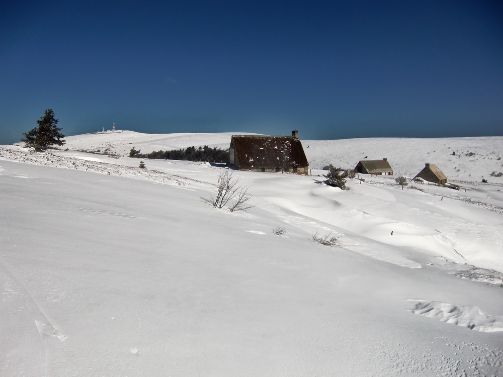 jasseries du fossat : Pierre sur Haute + jasseries du Fossat