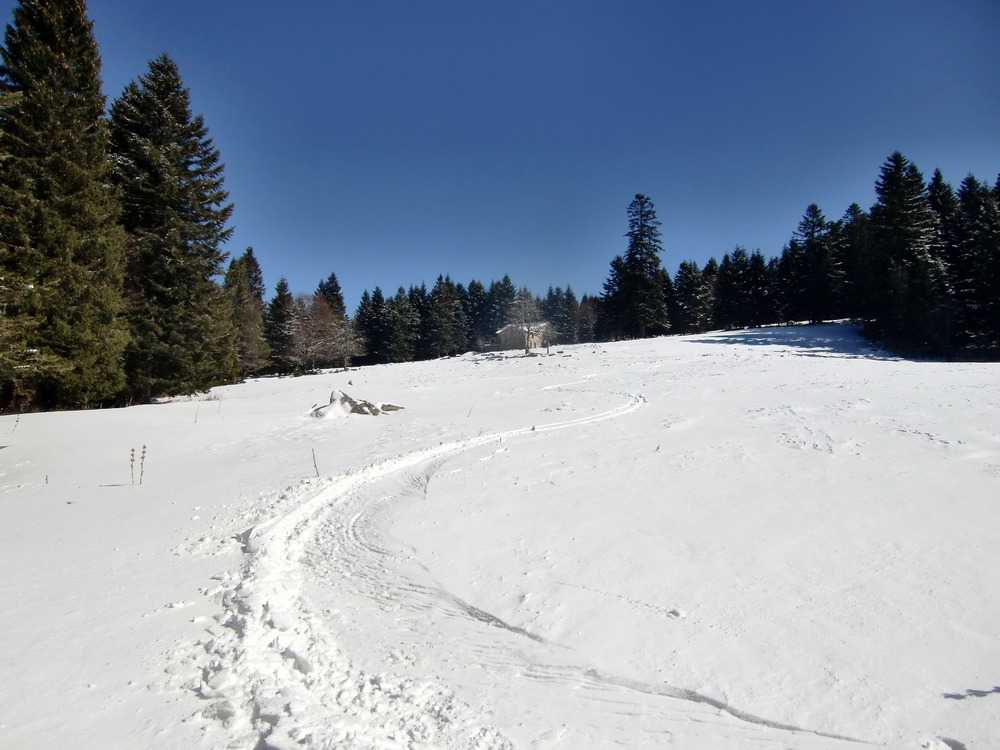 #7 Buron de la Grosse Fond. : ride dans le dernier champs de neige avant le parking. Buron de la Grosse Fond. : ride dans le dernier champs de neige avant le parking.