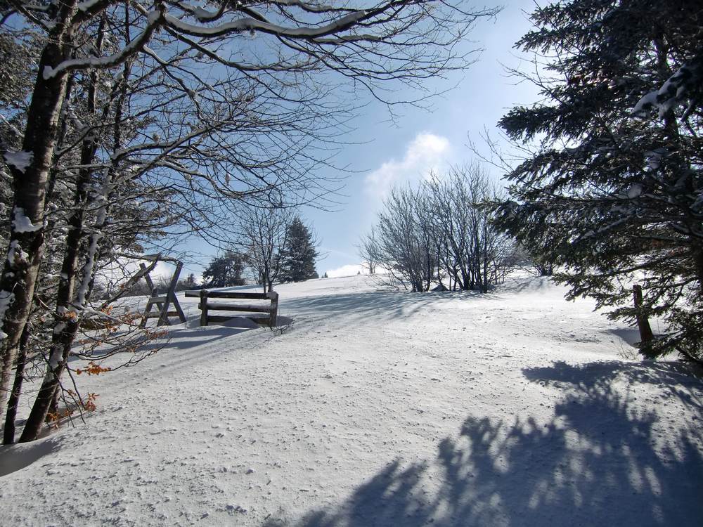 #1 sortie de bois,belle poudreuse : Arrivée sur les hautes chaumes de Monthiallier, apres la montée par la route enneigée du Mont Chouvet et du chemin du rocher de la pause. sortie de bois,belle poudreuse : Arrivée sur les hautes chaumes de Monthiallier, apres la montée par la route enneigée du Mont Chouvet et du chemin du rocher de la pause.