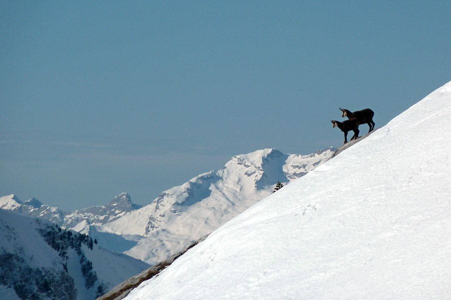 #3 Couloirs de Frémieux Couloirs de Frémieux