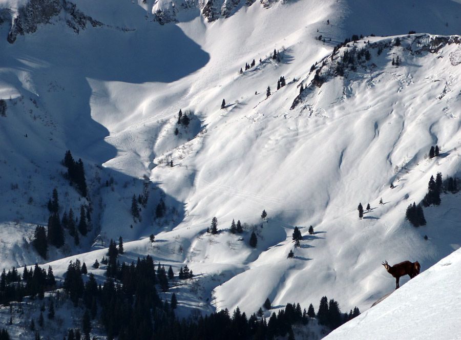 #4 Couloirs de Frémieux Couloirs de Frémieux
