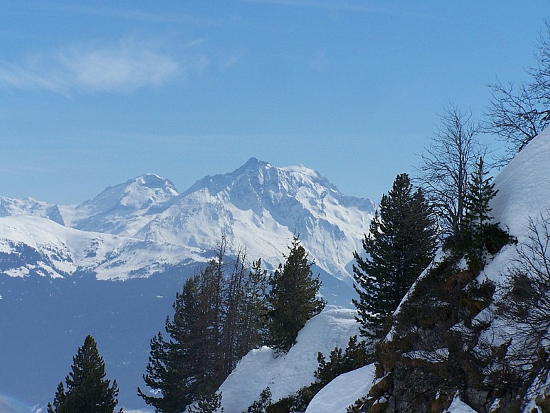 #1 Pointe des Marmottes noires : Grande Casse, Grande Motte, depuis le fond du vallon. Pointe des Marmottes noires : Grande Casse, Grande Motte, depuis le fond du vallon.