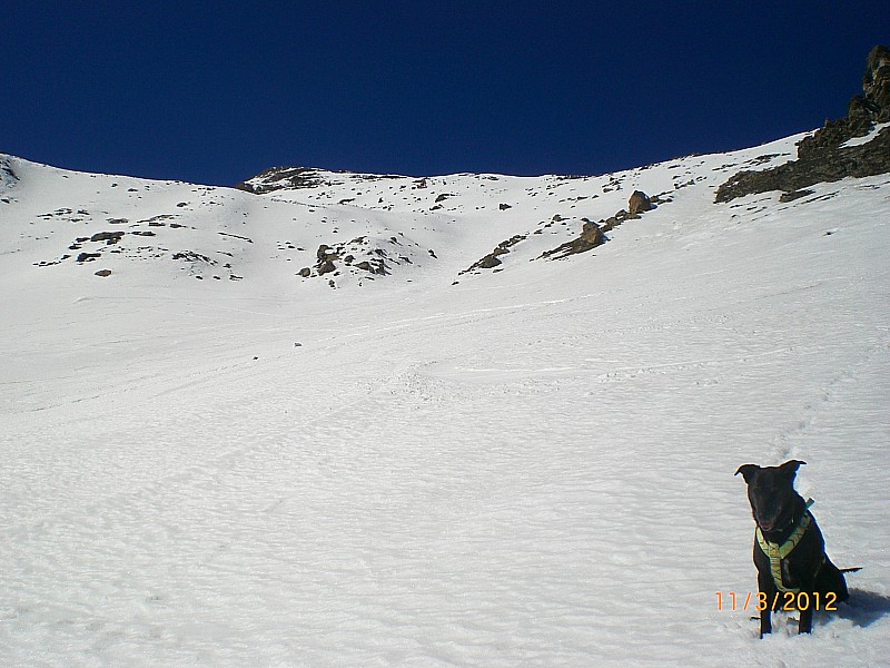 #8 L L'Aiglière : Super neige de printemps sur toute la face.