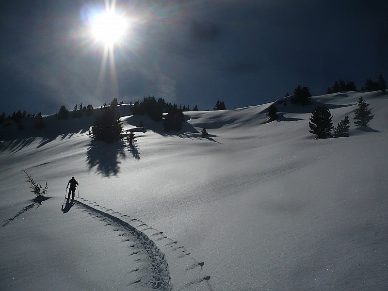 #1 sous plan du col : ça serait bien bon ça à la descente!! sous plan du col : ça serait bien bon ça à la descente!!