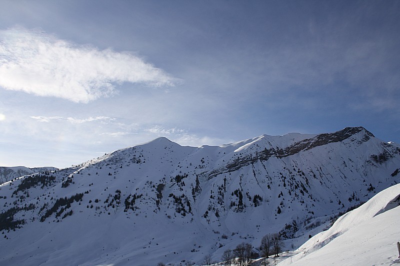 Face NW du Montzard, au matin : Bon enneigement alors qu'en S et E il n'y a plus rien.