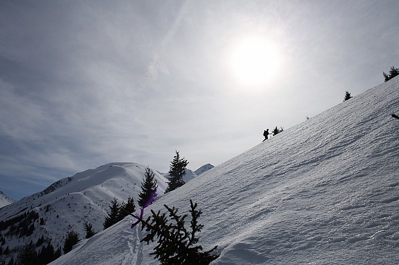 Remontée au Montzard : là on rigole moins (surtout moi), heureusement la descente sera là encore très bonne en choisissant bien l'orientation des contrepentes.