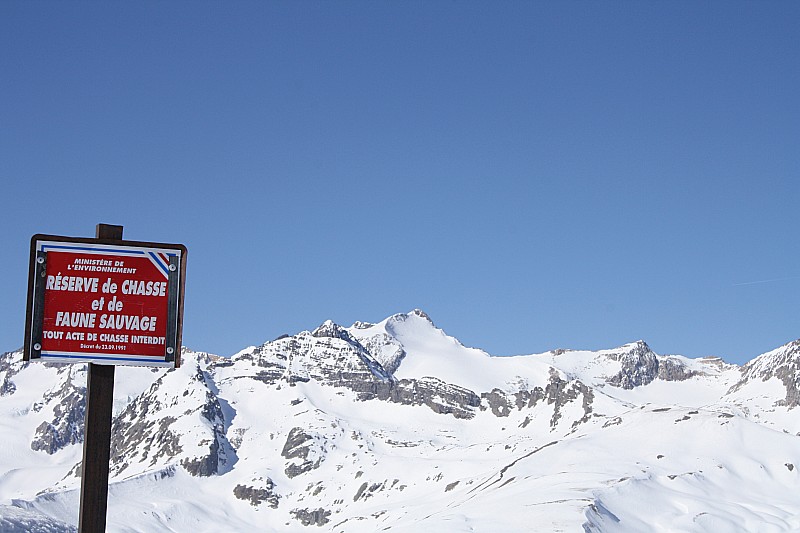 Interdiction de chasser... : sur l'Etendard ? (suite de la série panneaux, après le tour de la Grande Lance d'Allemont et le col du Golachon)