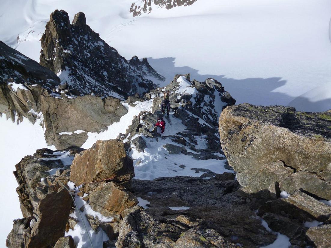 Aguille du Tour : Arête sommitale