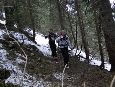 #7 marche forcé : La marche fut pénible car le sentier était recouvert d marche forcé : La marche fut pénible car le sentier était recouvert d'arbre tombé lors de la petite tempête de decembre.