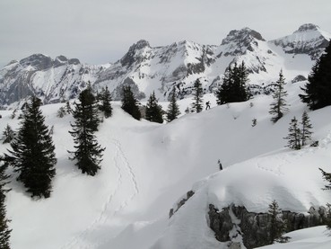 #4 Cercher la bête : Le jalouvre et la pointe blanche crépi de neige en face nord. Cercher la bête : Le jalouvre et la pointe blanche crépi de neige en face nord.