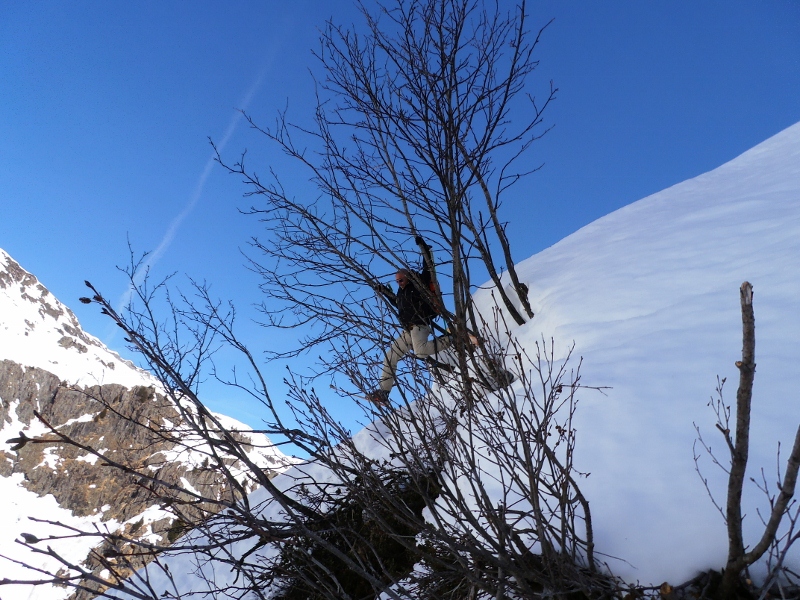 #3 Aiguille de Bérard : On trouve de drôle d Aiguille de Bérard : On trouve de drôle d'oiseau à Chamonix!