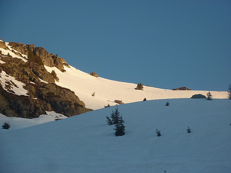 #6 Sortie de la forêt : Le bonheur de la solitude au soleil levant Sortie de la forêt : Le bonheur de la solitude au soleil levant