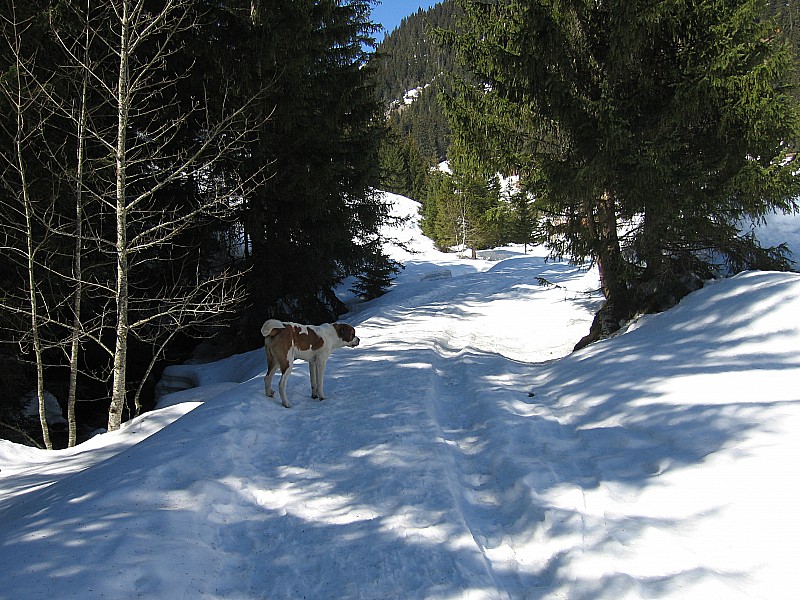 #1 Montée : Montée par le semain d Montée : Montée par le semain d'été a coté les chalets de chevenne