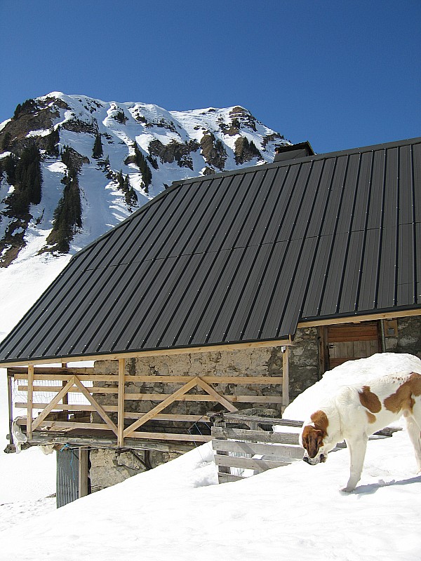 #2 Chalets de Mens : Les Chalet de Mens et au fond le Pointe de Lachau Chalets de Mens : Les Chalet de Mens et au fond le Pointe de Lachau