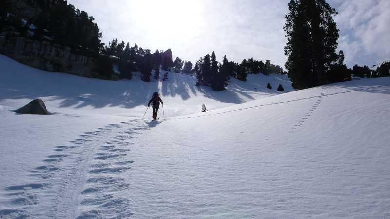 #1 sortie de la forêt : sortie de la forêt: de beaux champs de neige paisibles, en vue du Rocher pointu sortie de la forêt : sortie de la forêt: de beaux champs de neige paisibles, en vue du Rocher pointu