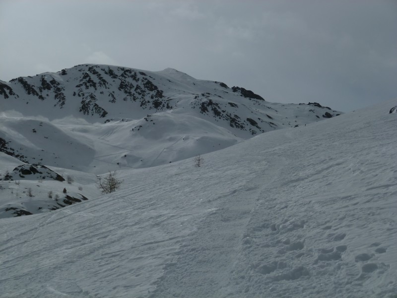 #2 Pic Traversier : bien enneigé, mais le sommet est neige béton Pic Traversier : bien enneigé, mais le sommet est neige béton