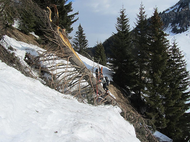 #5 PTE de Riondet : Obstacle du jour PTE de Riondet : Obstacle du jour
