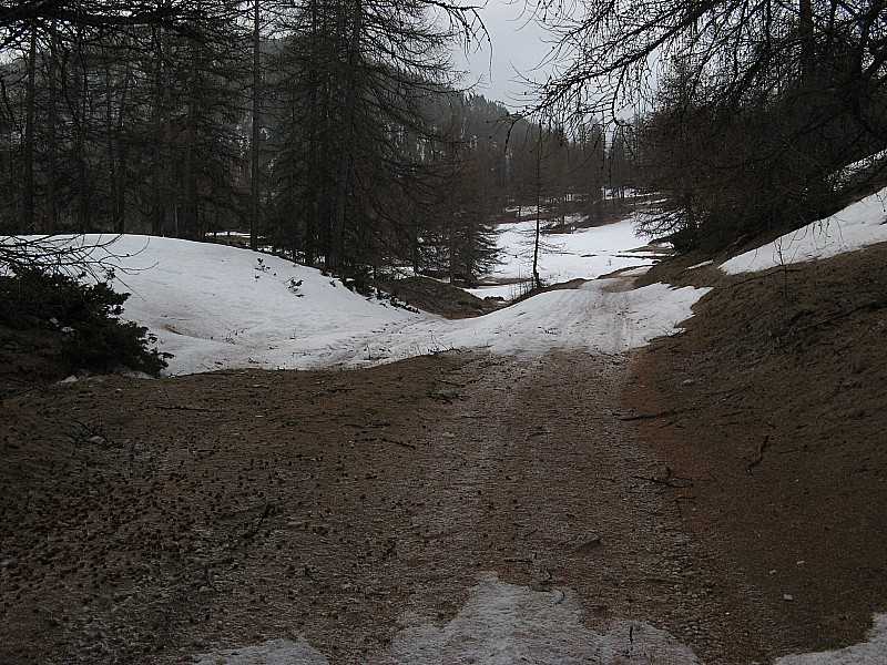 #2 Piste de montée : Piste de montée avec des interruptions de neige.
Vers 1850 m Piste de montée : Piste de montée avec des interruptions de neige.
Vers 1850 m