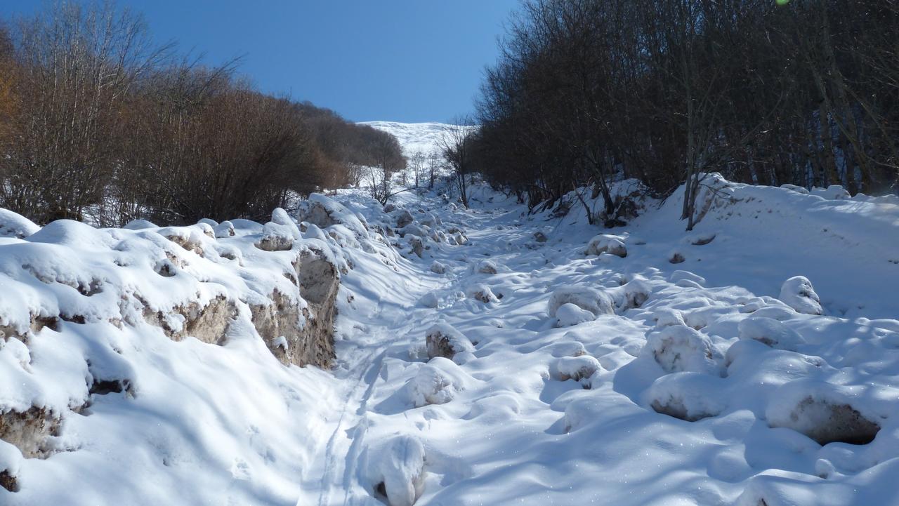 #2 Combe de Fresse Meyet : Des pentes herbeuses avalancheuses Combe de Fresse Meyet : Des pentes herbeuses avalancheuses