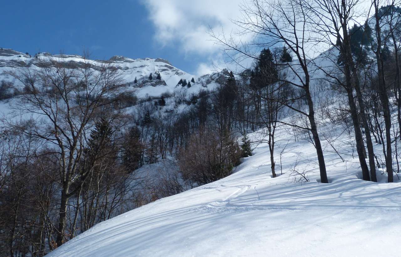 #7 Tré la Tanne nord : La descente se poursuit jusqu Tré la Tanne nord : La descente se poursuit jusqu'à la forêt difficilement pénétrable