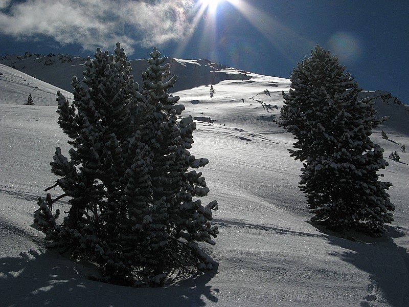 #4 Belle montée : Haut du vallon vers 2300m Belle montée : Haut du vallon vers 2300m